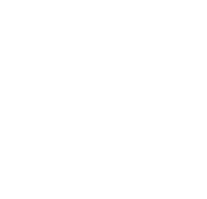 Dolphin Sataya