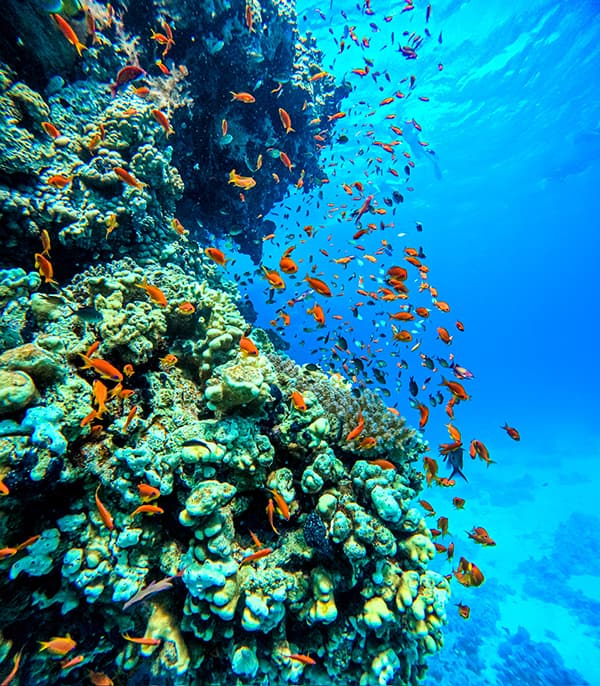 Sha'ab Claudio & Hamata Island
